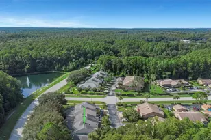 1623 Morning Dove Ln, Tarpon Springs, FL 34688 - Photo 57
