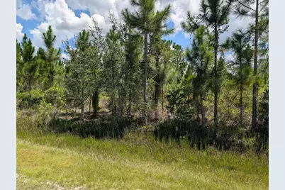 311 Hibiscus Drive, Indian Lake Estates, FL 33855 - Photo 3