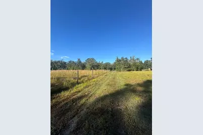 5812 N Dormany Road, Plant City, FL 33565 - Photo 31