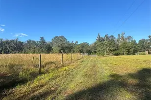 5812 N Dormany Rd, Plant City, FL 33565 - Photo 31
