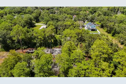 Anno Street, Tampa, FL 33625 - Photo 7