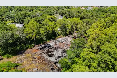 Anno Street, Tampa, FL 33625 - Photo 5