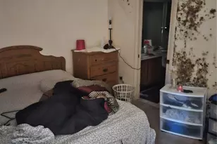 4909 Puritan Cir, Tampa, FL 33617 - Photo 5