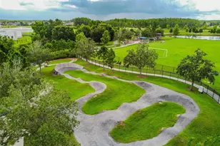 17124 Balance Cv, Land O Lakes, FL 34638 - Photo 41