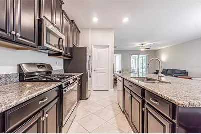 17124 Balance Cove, Land O Lakes, FL 34638 - Photo 11