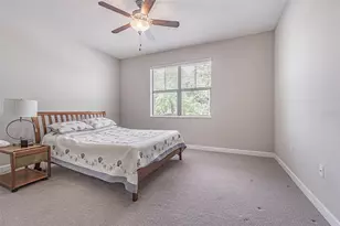 17124 Balance Cv, Land O Lakes, FL 34638 - Photo 23