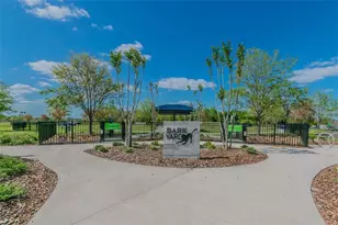 17124 Balance Cv, Land O Lakes, FL 34638 - Photo 45