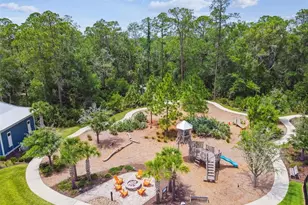 17124 Balance Cv, Land O Lakes, FL 34638 - Photo 39