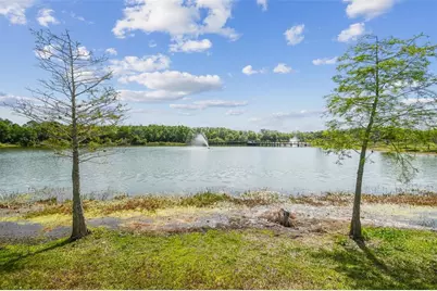 4923 Cypress Trace Drive, Tampa, FL 33624 - Photo 75