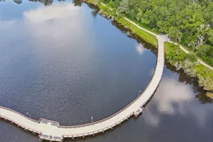 4923 Cypress Trace Dr, Tampa, FL 33624 - Photo 67