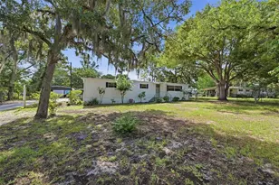 17222 Dansville Dr, Spring Hill, FL 34610 - Photo 3