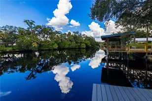 804 E Hollywood St, Tampa, FL 33604 - Photo 63