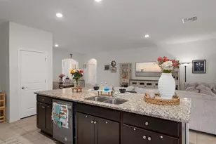 8370 Wheat Stone Dr, Zephyrhills, FL 33540 - Photo 19