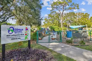 311 Shore Dr E, Oldsmar, FL 34677 - Photo 67