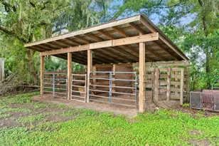 12136 McIntosh Rd, Thonotosassa, FL 33592 - Photo 31