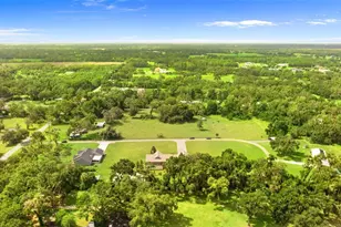 12136 McIntosh Rd, Thonotosassa, FL 33592 - Photo 41