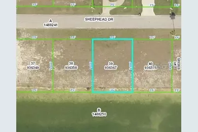 3464 Sheephead Drive, Hernando Beach, FL 34607 - Photo 1