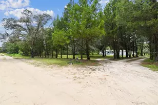 4291 N Mandrake Point, Crystal River, FL 34428 - Photo 79