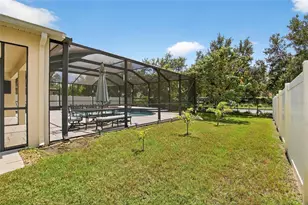 12407 Gilmerton Mist Ln, Riverview, FL 33579 - Photo 71