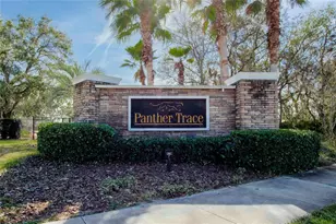 12407 Gilmerton Mist Ln, Riverview, FL 33579 - Photo 83