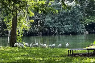 10801 SW 185th Ter, Dunnellon, FL 34432 - Photo 31