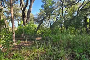 13603 Gopher Pond Ct, Hudson, FL 34669 - Photo 1