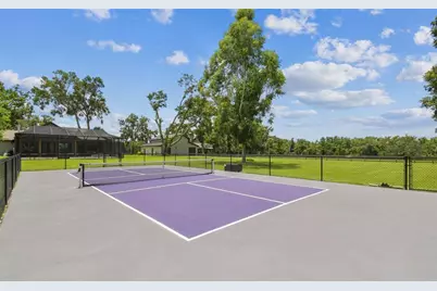 1517 Uncle Buds Lane, Lithia, FL 33547 - Photo 29