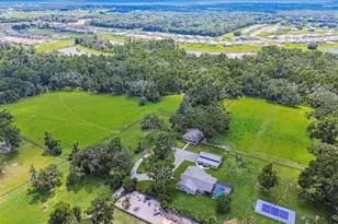 1517 Uncle Bud's Ln, Lithia, FL 33547 - Photo 41