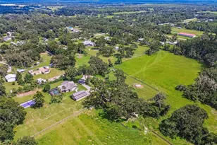 1517 Uncle Bud's Ln, Lithia, FL 33547 - Photo 41