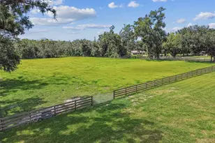 1517 Uncle Bud's Ln, Lithia, FL 33547 - Photo 39