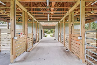 1517 Uncle Buds Lane, Lithia, FL 33547 - Photo 37