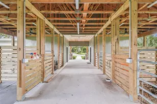 1517 Uncle Bud's Ln, Lithia, FL 33547 - Photo 37