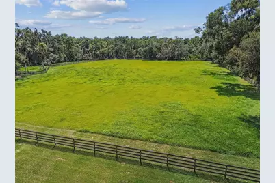 1517 Uncle Buds Lane, Lithia, FL 33547 - Photo 39