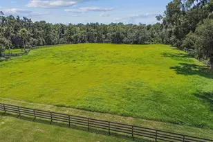 1517 Uncle Bud's Ln, Lithia, FL 33547 - Photo 39