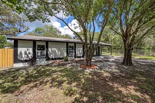 10131 Field St, New Port Richey, FL 34654 - Photo 3