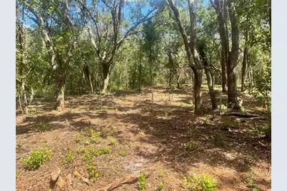 2 Sendcastle Drive, Groveland, FL 34736 - Photo 29