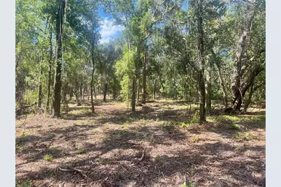 2 Sendcastle Drive, Groveland, FL 34736 - Photo 21