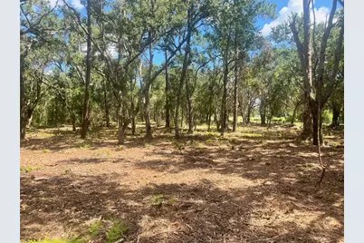 2 Sendcastle Drive, Groveland, FL 34736 - Photo 31