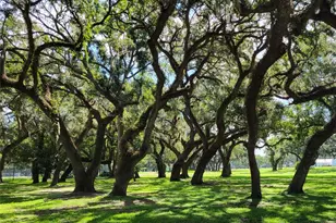 36645 Kay Ave, Zephyrhills, FL 33542 - Photo 45