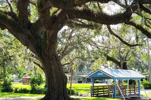 36645 Kay Ave, Zephyrhills, FL 33542 - Photo 33