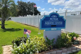 36645 Kay Ave, Zephyrhills, FL 33542 - Photo 31