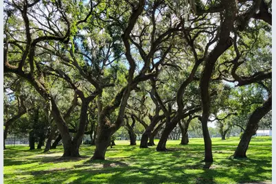 36645 Kay Avenue, Zephyrhills, FL 33542 - Photo 47