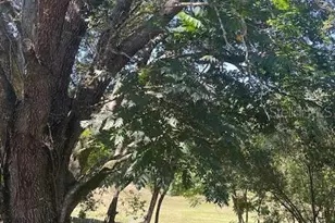 3573 Benito Juarez Cir, Apopka, FL 32712 - Photo 21