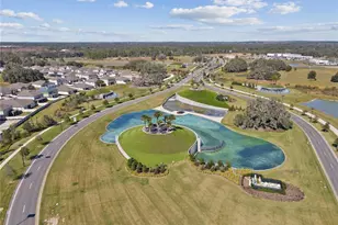 10665 Penny Gale Loop, San Antonio, FL 33576 - Photo 33