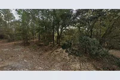 228 14th Street, Interlachen, FL 32148 - Photo 1