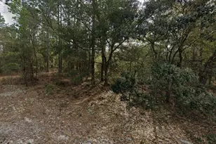 228 14th St, Interlachen, FL 32148 - Photo 1