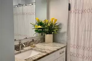 3402 N Tampania Ave, Tampa, FL 33607 - Photo 31