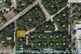 9796 N Feigel Terrace, Crystal River, FL 34428 - Photo 1