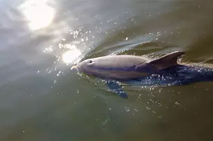 600 3rd Ave S, Saint Petersburg, FL 33701 - Photo 57