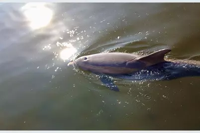 600 3rd Avenue S #406, Saint Petersburg, FL 33701 - Photo 57